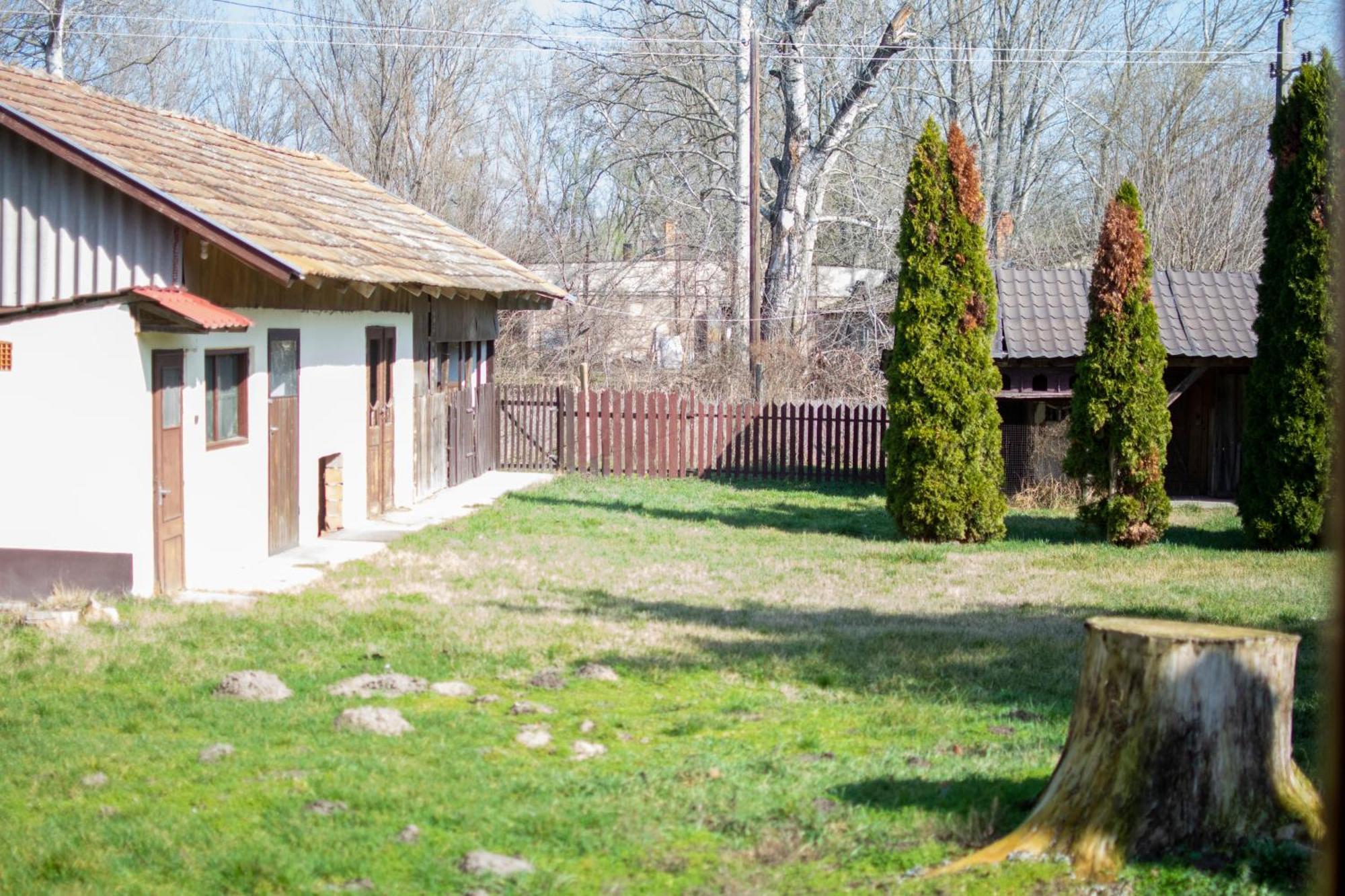 Villa Flora Kiskunmajsa Exterior photo