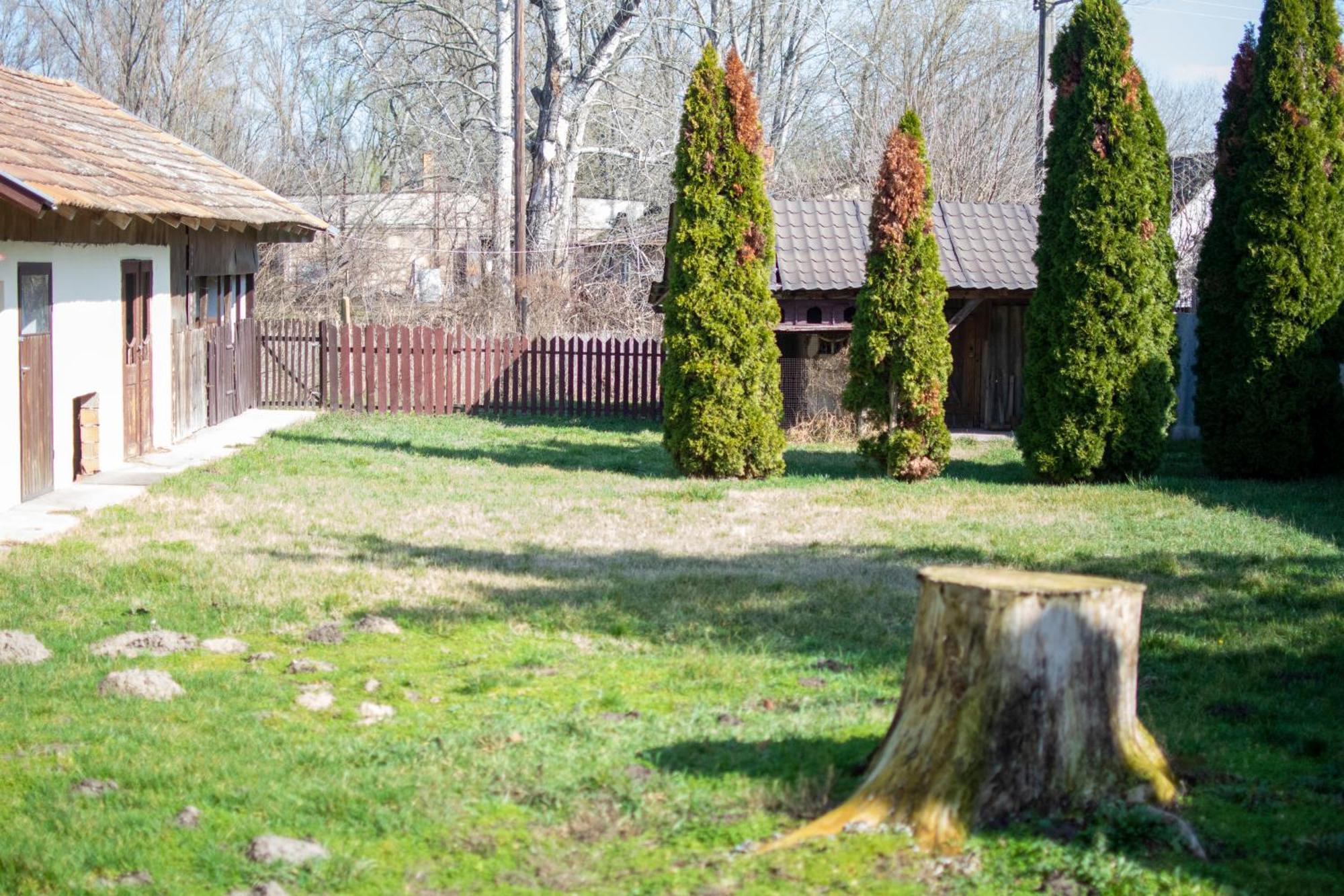 Villa Flora Kiskunmajsa Exterior photo